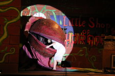 Little Shop of Horrors 53